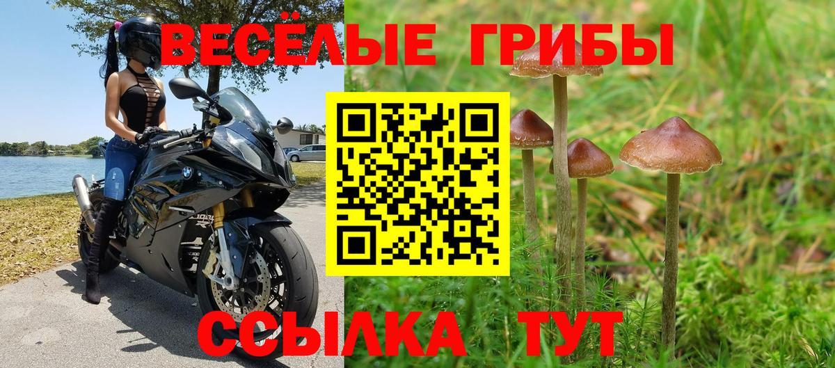 Псилоцибиновые грибы Psilocybe  Вход с VPN  Галлюциногенные грибы MAGIC MUSHROOMS  Губаха 